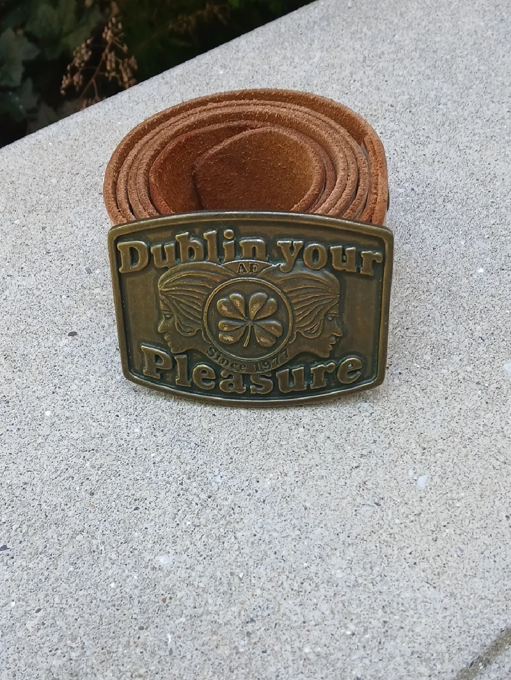 vintage DUBLIN YOUR PLEASURE irish twins IRELAND western BRASS cowboy Buckle